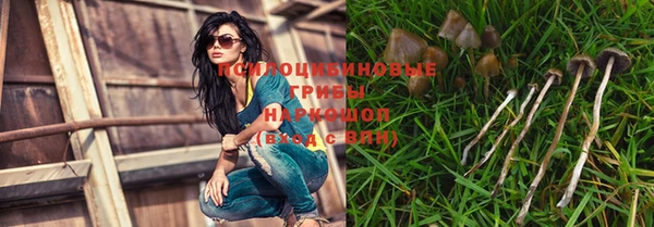 гидропоника Алзамай