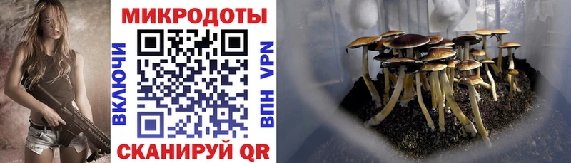 Галлюциногенные грибы мухоморы  Ленинск 