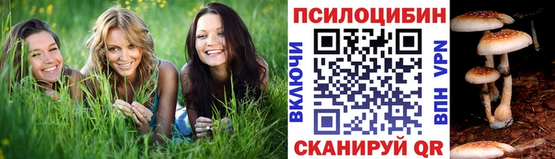 Псилоцибиновые грибы ЛСД Ленинск